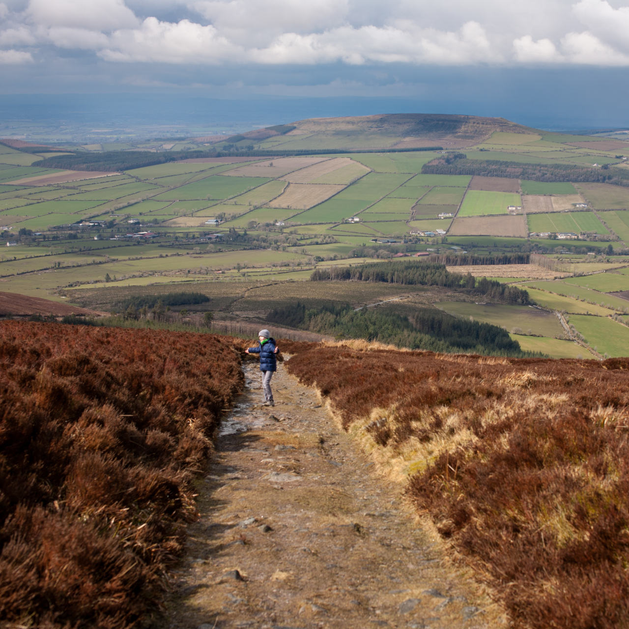 Mount Brandon, Co. Kilkenny